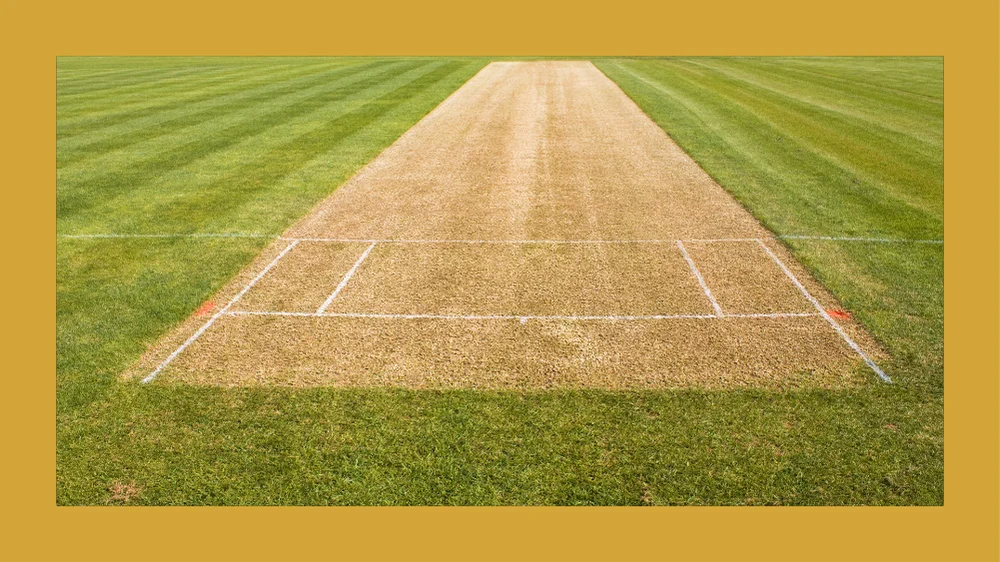 How to Read Cricket Pitch Reports for Betting