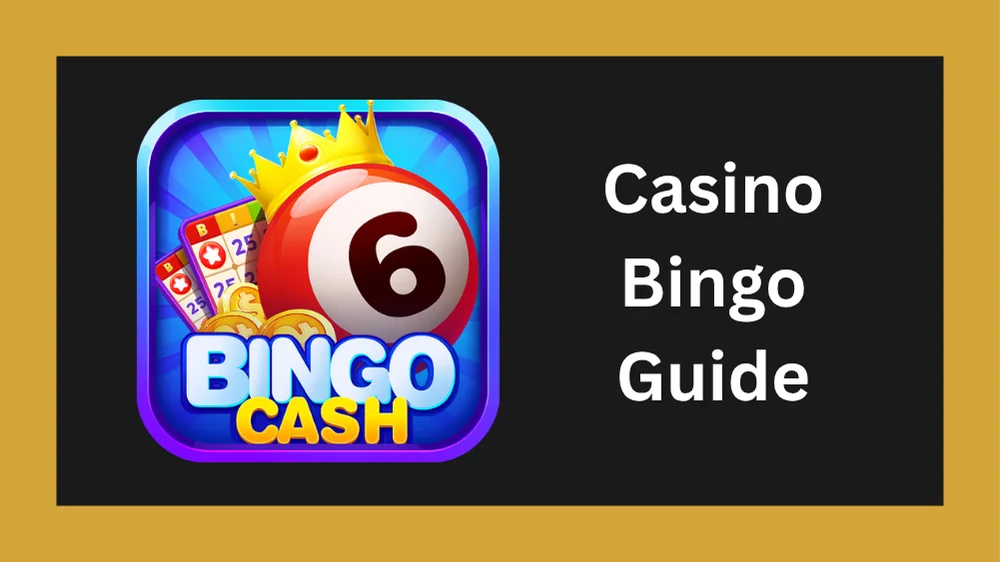 Bingo game guide on Reddy Anna with rules strategy and live dealer options