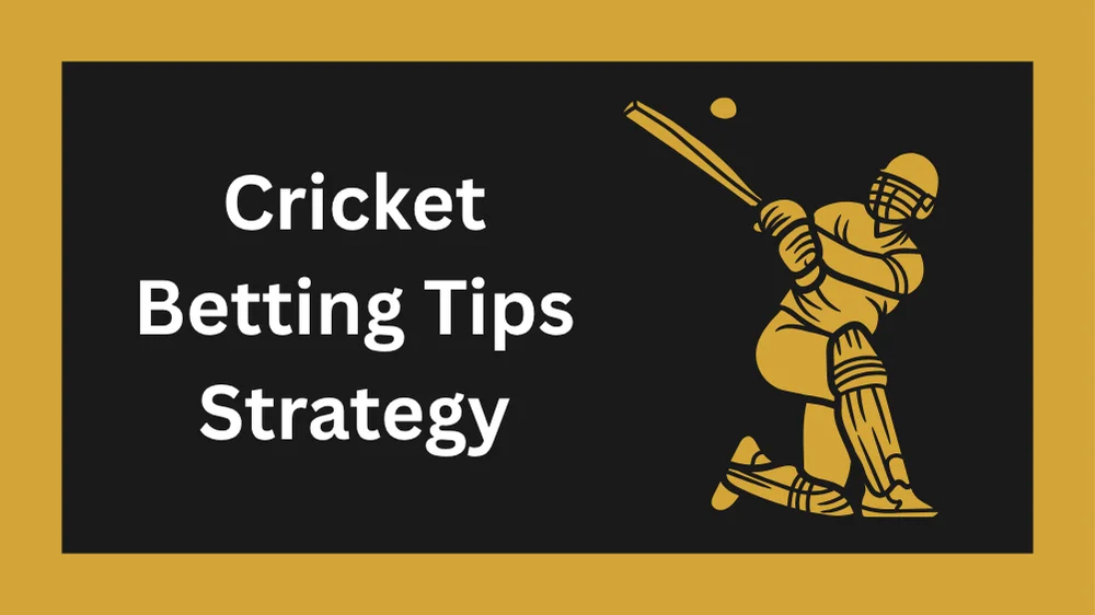 Cricket betting tips and strategies showing research framework bankroll management and value betting concepts