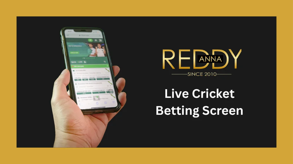 Live cricket betting interface showing real-time ball by ball odds session runs and match situation updates