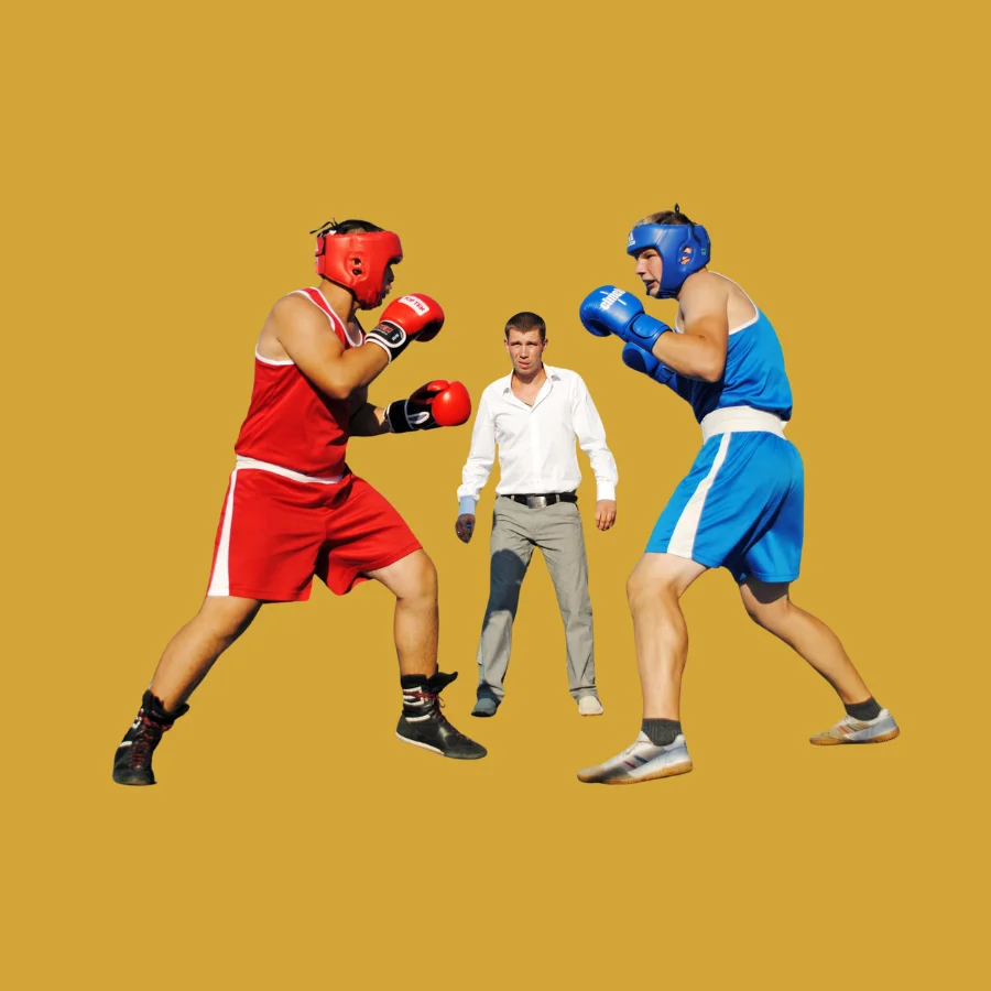Boxing Betting on Reddy Anna