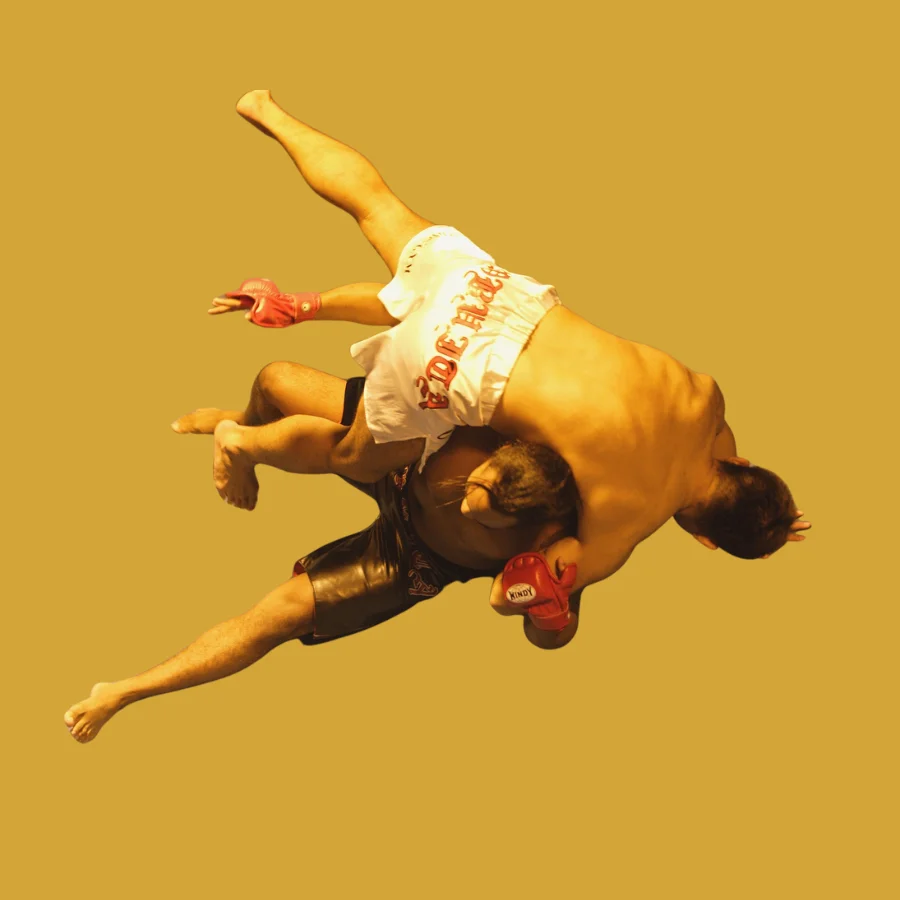 MMA Betting on Reddy Anna