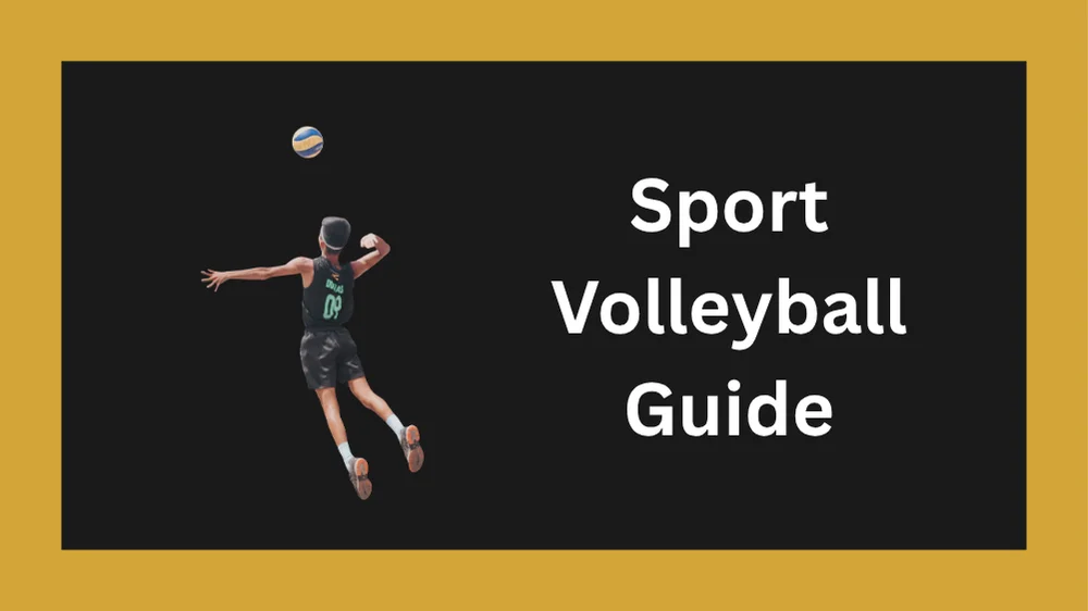 Volleyball Betting on Reddy Anna with comprehensive markets and live odds